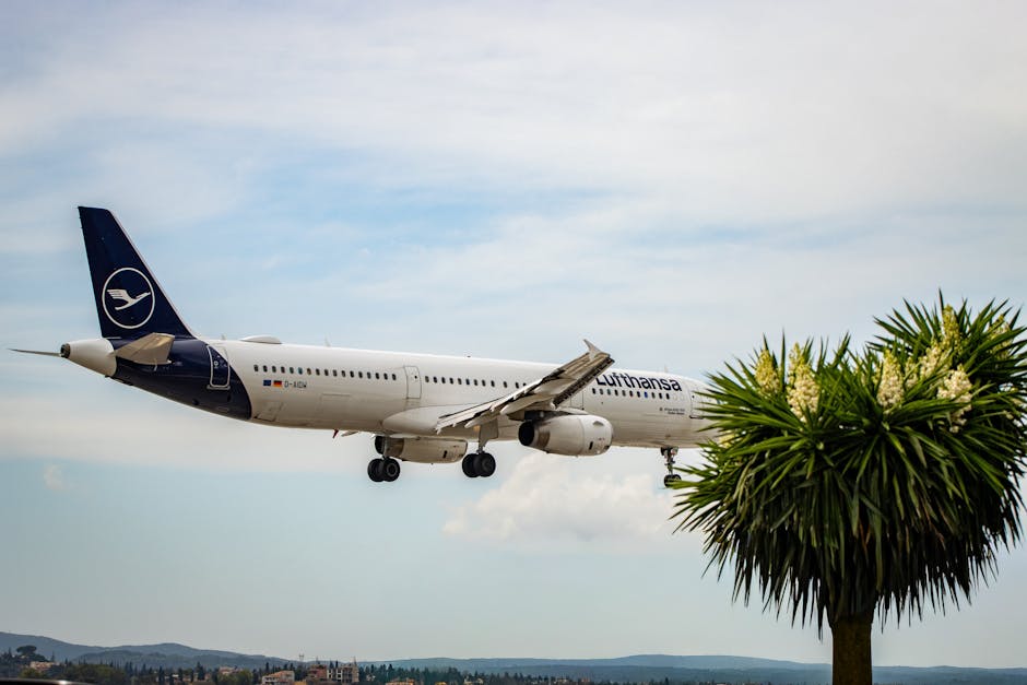 Lufthansa airplane approaching landing in Corfu, Greece with clear skies and palm trees